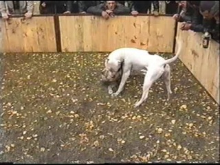 Охотники за алмазами смотреть онлайн фильм